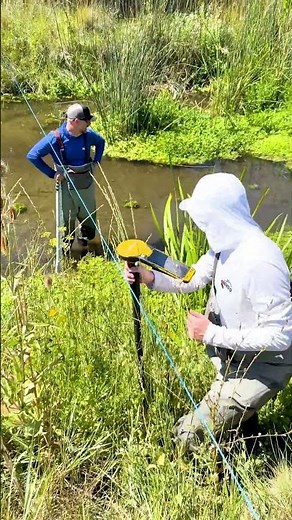 How to conduct a transect survey