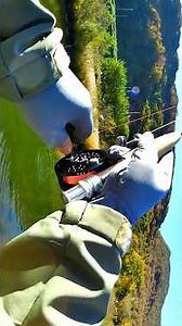 carp on micro fly rod