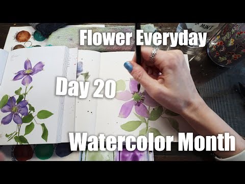 Day 20 Flower Everyday Clematis Watercolor Month