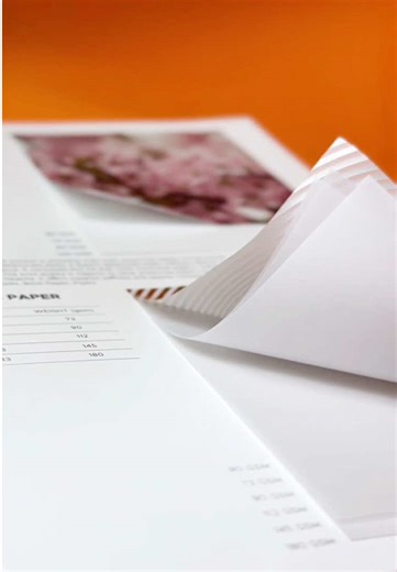 Nueva Colección de Papeles Eco-Amigables