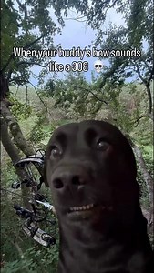 When your hunting partner’s bow goes BOOM instead of thunk #hunting #hunt #funny #meme #deerhunting #deerseason #deer #deerhunting | Deep Blue Woods