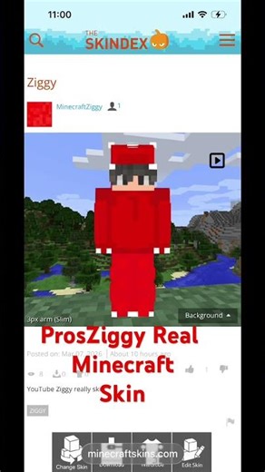 subscribe for more Ziggy Real #minecraft Skin