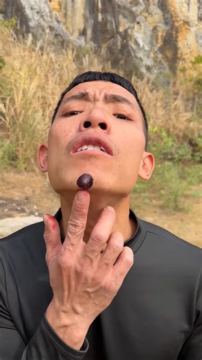 How I Cured a Bug Bite with Yogurt in the Wild | Survival Hacks#funny #viral