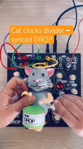 Wind-up cat piezo amplified into DROP Clock input. Cat drives the divider → chaos! 🐱 #msfdrop