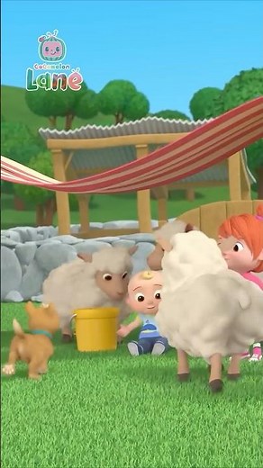 Stop! Sit! & Sip! Ba Ba Black Sheep Round Up! #shorts #nurseryrhymes #CoComelonLane #netflix