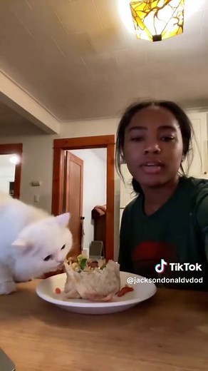 How to Properly Train Your Cat