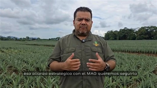 El respaldo técnico del MAG ha sido clave para seguir creciendo. Así lo comparte Adrián Rodríguez, Gerente de Coopepiña. #SomosAgroCR | Ministerio de Agricultura y Ganadería