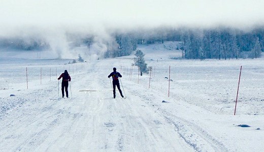Cross-country Ski Tours and Trails in Yellowstone