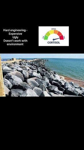 Hard vs. Soft Engineering: GCSE Geography Revision