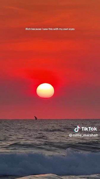 Explore the Beauty of Gold Coast, Australia