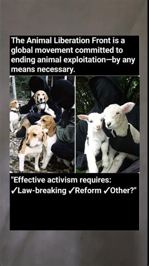 The Secret Network Fighting for Animal Rights - By Any Means Necessary