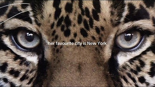 New York: The Ultimate Aesthetic City Experience