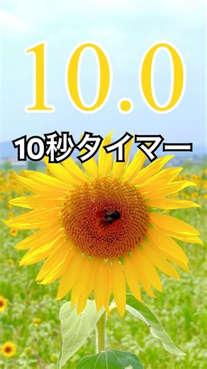 10秒タイマー