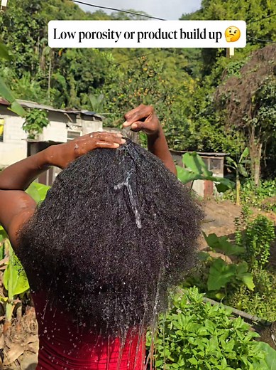 Hair Porosity: Is It Really Low Porosity?