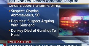 PD: Drunk man fatally shot girlfriend's donkey