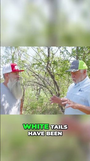 Exotic Animal Ranch Expansion: Hunting New Species in Texas #shorts