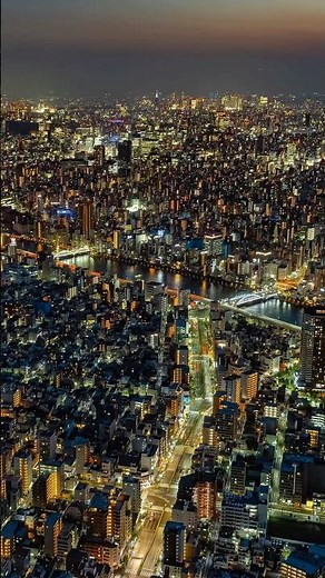 東京の空を自由に飛んでみたら想像を絶する景色だった🗼🚁🌃