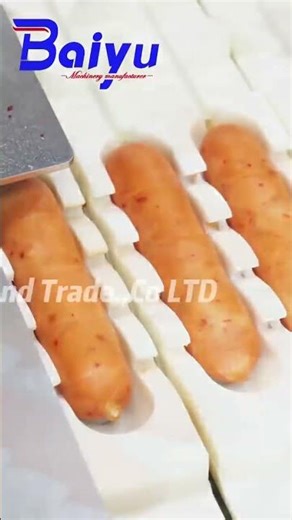 Sausage Stuffer for All Casings|Natural,Collagen,Cellulose & Plastic|Make All Types of Sausages Fast