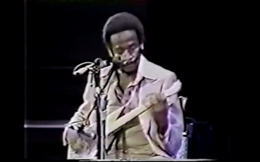 【滑棒布鲁斯】Lonnie Pitchford演奏美国农村黑人DIY乐器"Diddley Bow"(1984)