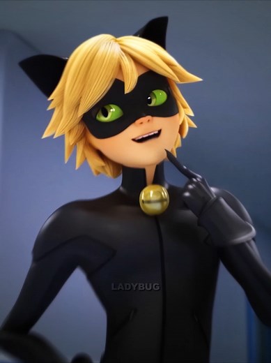 Cat Noir e Ladybug: Um Romance em Imagens