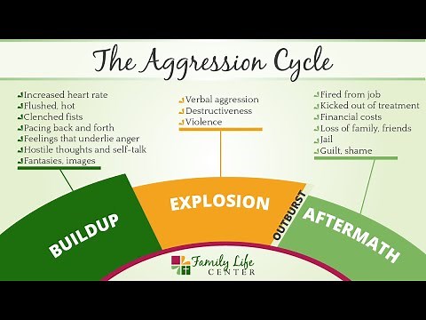 AGGRESSION CYCLE - Lesson 4
