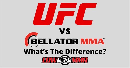 UFC Vs Bellator? What's The Difference