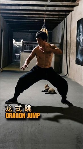 Kung Fu Dragon Jump🐉Bruce Lee Speed