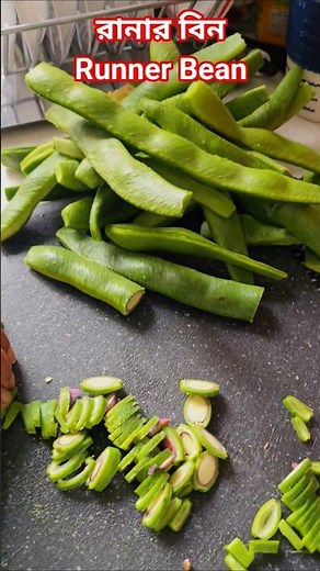 Homegrown runner beans #puishak #gardening #bean #food #vegetables #recipe #cooking #indianfood