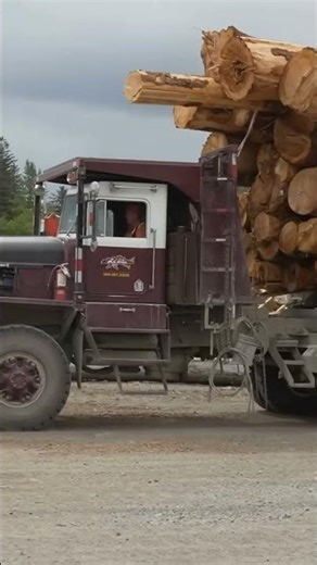 Sany D11T: Unstoppable Bulldozer Power! 🚜💥