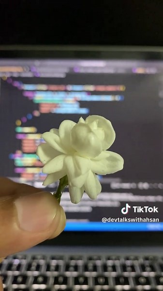 Aesthetic Coding Status: Unleashing Creativity in Programming