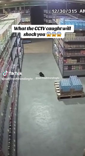 Supermarket CCTV caught the moment a rat transforms #supernatural #Cctvcaptured #fyp #nightshiftstory #viralvideo