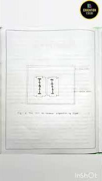 To Observe Diffraction of light due to a thin slit | PHYSICS ACTIVITY | CLASS 12 | 2022-23