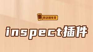 inspect插件【渡一教育】