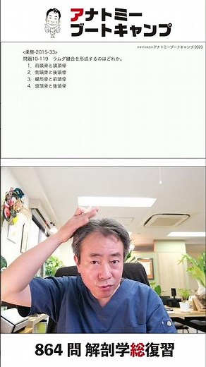 [10-119] Which of the following forms the lambdoid suture?
