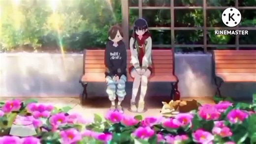Animash 1