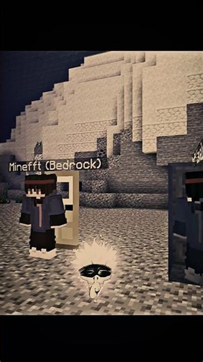 Java Door Vs Bedrock Door 💀
