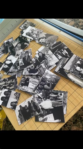 Create a Beautiful Family Tree with Roots and Branches