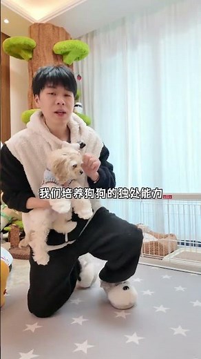幼犬刚到家，这四项训练很关键！#幼犬到家 #养狗经验分享 #新手养狗 #新手养狗攻略