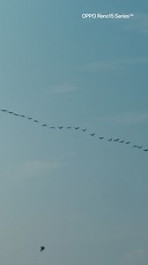 More people. More moment. One wide shot. Ultra-Wide Front Camera on OPPO Reno15 Series. | OPPO