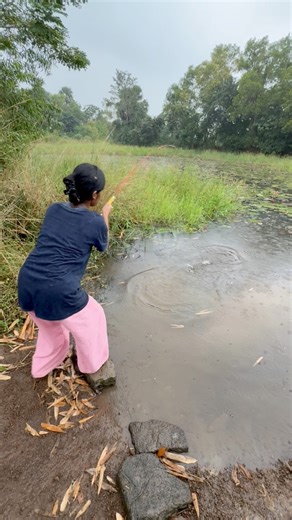 Village girls catch rainy weather & catch big koi fish in lotus 🪷 pond #bass #fish | lady hook fishing
