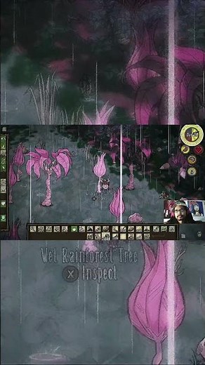 Don't Starve Hamlet: BFB (Big Flying Bird)