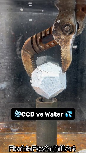 ❄️CCD vs Water 💦 #satisfying #Experiment #ASMR #Science #CCD | asmr video
