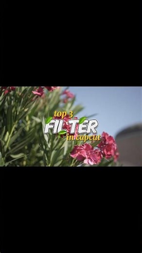 top 3 filters cinematic colour grading nature ✨️ #cinematic #editingtips