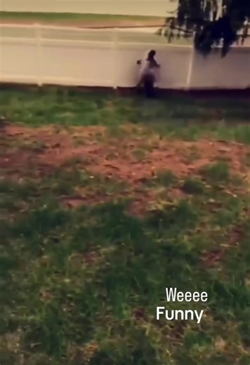 Hilarious Moments Compilation: Laugh at the Fails