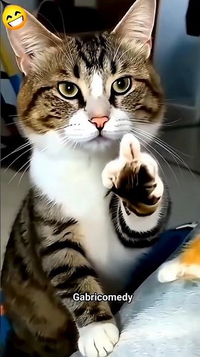 Cat… You Text So Well! 😹🐱📱 #cat #catvideos #funny #youtubeshorts #shorts #comedy