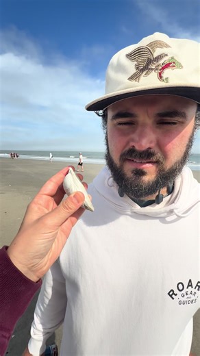Fun fact: you can hear the ocean by pressing a shell to your ear