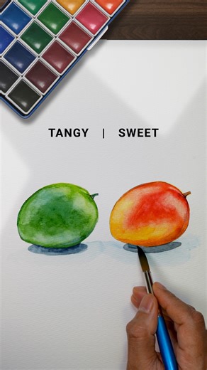 Mango Sketch in Watercolor 🥭