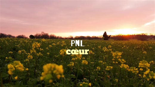 Cœur et vie : Les émotions du rap français PNL