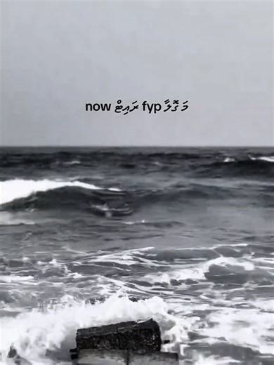 #rap #eminem #maldives vid Cr:@rauuibrahimmmmm