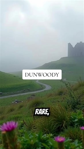 DUNWOODY Scotland Scotland History Scotland Heritage Scotland Culture History of Scotland Scottish History Scottish Heritage Scottish Scottish Clans Clans #scotland #scotlandhistory #scottish #scottishhistory #historyofscotland